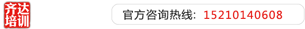 日逼极品大屁股骚逼齐达艺考文化课-艺术生文化课,艺术类文化课,艺考生文化课logo